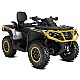 Can-Am Outlander MAX XT-P 1000R INT 2024 Can-Am Outlander MAX XT-P 1000R INT 2024