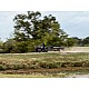 Can-Am Outlander PRO HD5 INT 2024