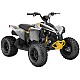 Can-Am Renegade 110 2024