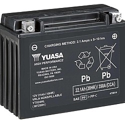 Baterie Yuasa Can-Am Ryker 12V 12AH 219800472