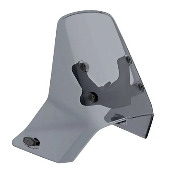 Parbriz LinQ Can-Am Origin 219401291
