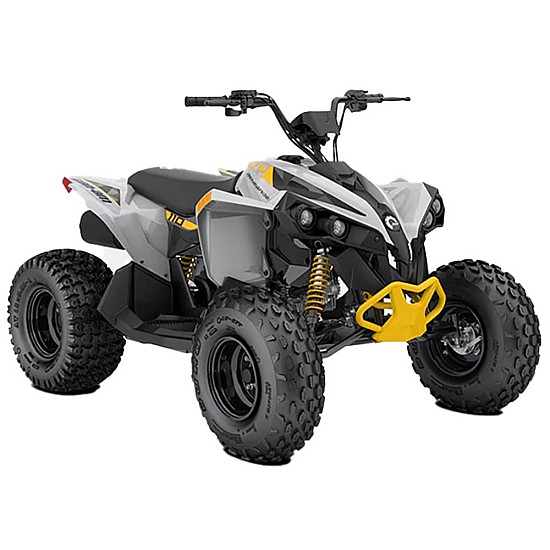Can-Am Renegade 110 2025