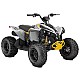Can-Am Renegade 110 2025