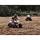 Can-Am Renegade 110 2025