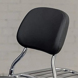 Passenger Backrest Pad, Black 2883728-VBA