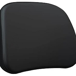 Passenger Backrest Pad, Black 2883728-VBA