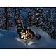 Ski-Doo Summit Neo+ 600 EFI Electric Start 146” 2026