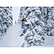 Ski-Doo Summit X 850 E-TEC SHOT Touchscreen 154” 2026