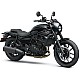 Kawasaki Eliminator 500 SE 2025