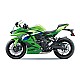Kawasaki Ninja ZX-4RR 2027 GN1/GY1/GY2
