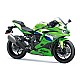 Kawasaki Ninja ZX-4RR 2027 GN1/GY1/GY2
