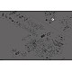 Contact Can-Am Bombardier 710004570