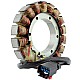 Stator snowmobil Ski-Doo 420864420