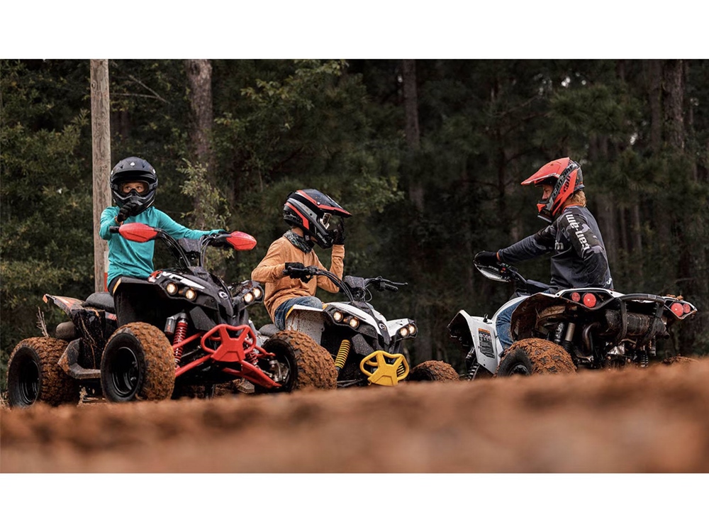 Can-Am Renegade 110 2025