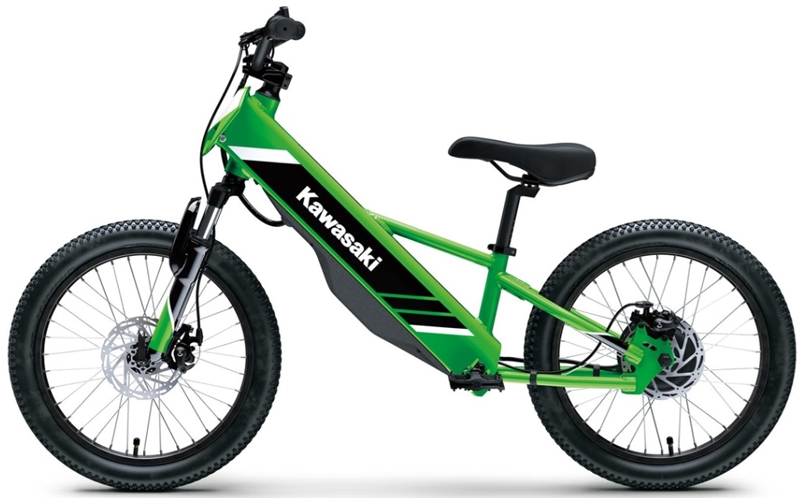 Kawasaki Elektrode 20 2025