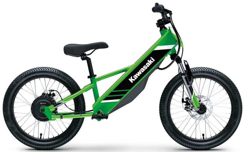 Kawasaki Elektrode 20 2025