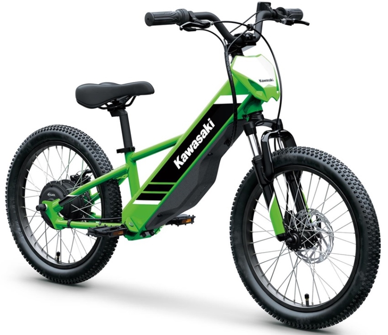 Kawasaki Elektrode 20 2025